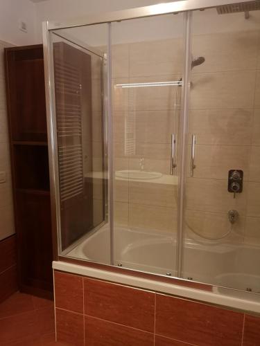 a shower with a glass enclosure in a bathroom at Vila Magnolia in Vilanija