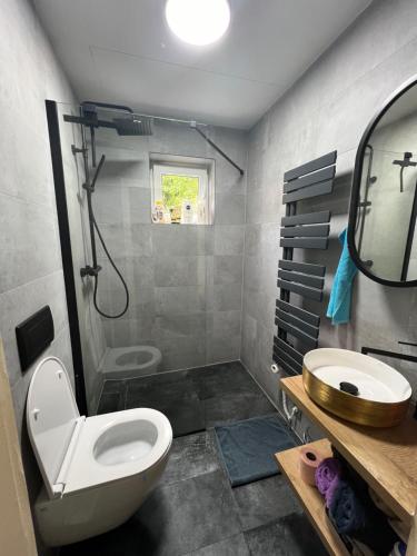 a bathroom with a toilet and a sink at Ausseerland Apartments - Relax, Ski, Hike and Bike, Garden, Parking, BBQ, Near Hallstatt, Loser, Tauplitz and Krippenstein, Free Wi-Fi and Netflix in Bad Aussee