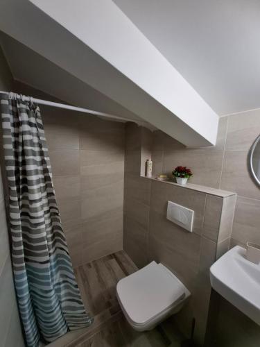 a bathroom with a toilet and a sink at Amelia in Radanovići