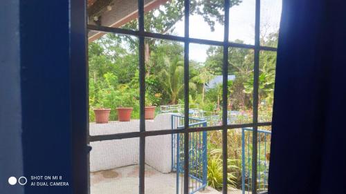 a view of a garden through a window at Sun House Rental in Mambajao