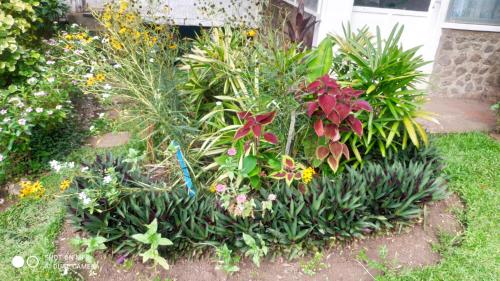 a garden with many different flowers and plants at Sun House Rental in Mambajao