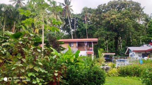 a house in the middle of a garden at Sun House Rental in Mambajao