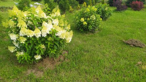 Zahrada ubytování agroturystyka domek na trawie