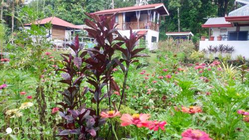 a garden with flowers in front of a house at Sun House Rental in Mambajao