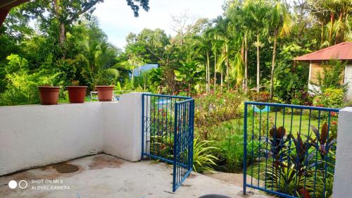 a blue gate on a white wall with plants at Sun House Rental in Mambajao