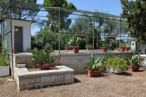 Κήπος έξω από το Casina Lupis