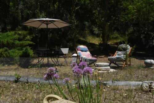 Taman di luar Il castello nel bosco
