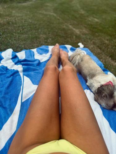 a person laying on a blanket next to a dog at Chatička Lištička in Náchod