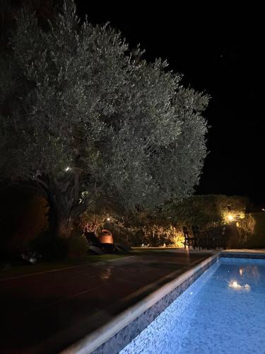 Πισίνα στο ή κοντά στο Valencia Grove Villa