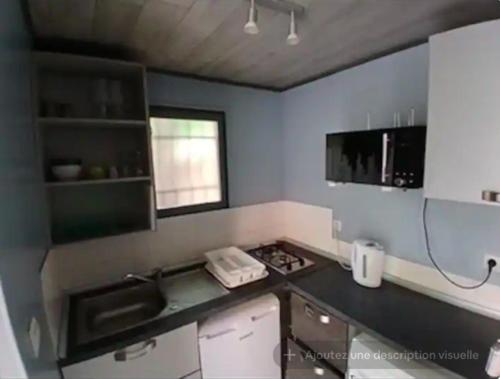 une cuisine avec un évier et un plan de travail dans l'établissement appartement proche du stade 2, à Marseille