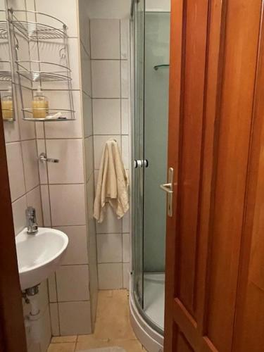 a bathroom with a shower and a sink at Liliom a Strandnál in Balatonfüred
