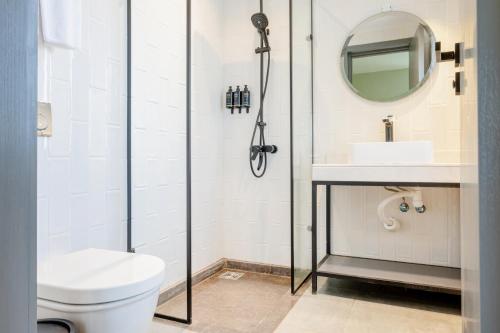 a bathroom with a shower and a toilet and a sink at grey l studio apartments Downtown Cairo Ouzonian House in Cairo