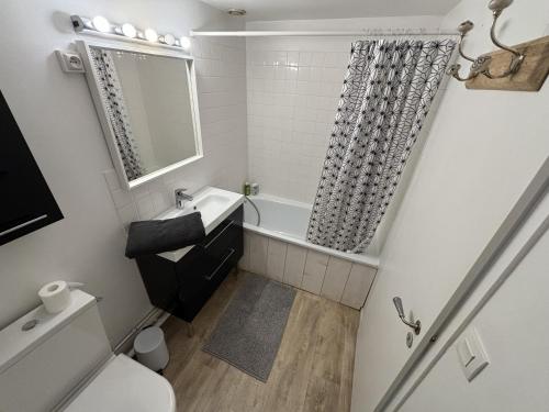 a small bathroom with a toilet and a bath tub at Apartment in downtown Bordeaux in Bordeaux