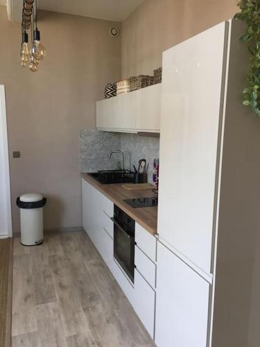 La cuisine blanche est équipée d'un évier et d'un réfrigérateur. dans l'établissement Apartment in downtown Bordeaux, à Bordeaux