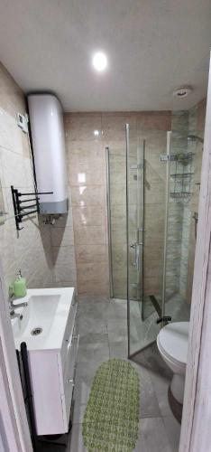 a bathroom with a shower and a toilet and a sink at Morska Bryza in Chłopy