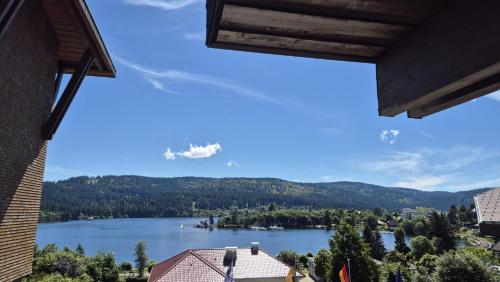 a view of a lake from a house at Chalet Schluchsee Ferienwohnung in Schluchsee