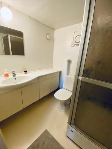 a bathroom with a toilet and a sink and a shower at Summer house close to the beach with 12 beds in Höllviken