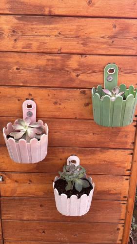 three pots on a wall with a plant in them at Casa Cleotti in Uta