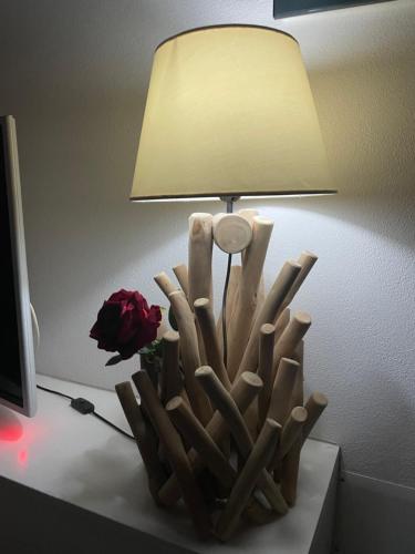 a table with a lamp with a vase with a rose at Casa Cleotti in Uta