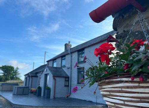 a house with a potted plant in front of it at Cosy countryside cottage in Aberystwyth