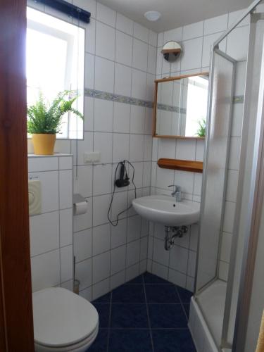 a bathroom with a toilet and a sink at Haus Peenehagen in Groß Gievitz
