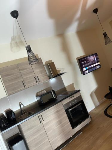 une cuisine avec un évier et une cuisinière four supérieur dans l'établissement Nancy Cozy Lodge, à Nancy