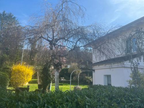 ein Baum in einem Hof neben einem Haus in der Unterkunft Nice location in Courrendlin