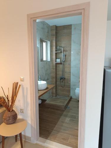 a bathroom with a shower and a sink at VAYAL SKYROS in Skiros