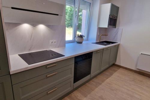 una cucina con lavello e fornello forno superiore di La Dame - Parking Privé GRATUIT Proche GE Alstom & Centre-Ville a Cravanche