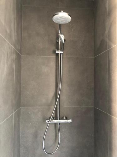 une douche avec pommeau de douche dans une salle de bain dans l'établissement Nancy Cozy Lodge, à Nancy