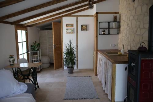 un salon avec une cuisine et une table dans l'établissement Studio Avec jardin privé, à Bergerac