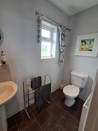 a bathroom with a toilet and a sink and a window at Eddystone Light Apartment in Mevagissey