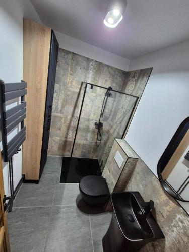 a bathroom with a shower and a toilet in a room at Design Loft in Reşiţa