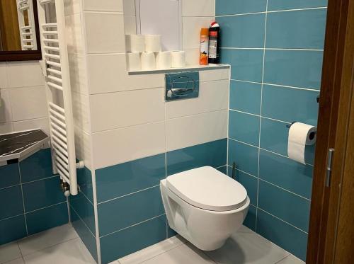 a bathroom with a white toilet and blue tiles at Mỹ Apartments - Karlovy Vary centrum in Karlovy Vary