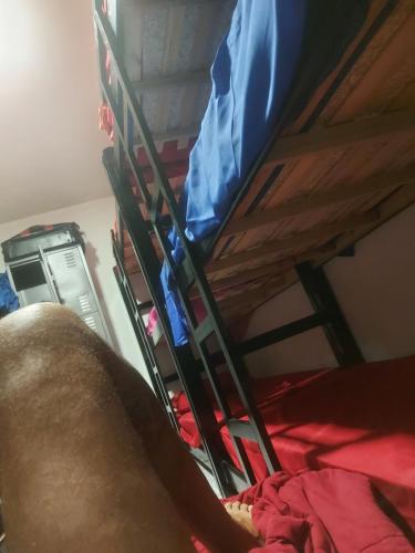 a bunk bed with a ladder on top of it at casa grande in Sao Paulo