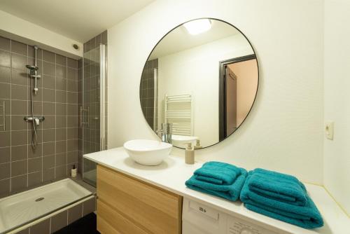 a bathroom with a sink and a mirror at Grand Appartement Lumineux au Centre d'Aurillac in Aurillac