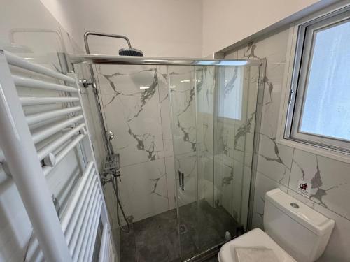 a bathroom with a shower and a toilet at Alexander apartments in Spartià