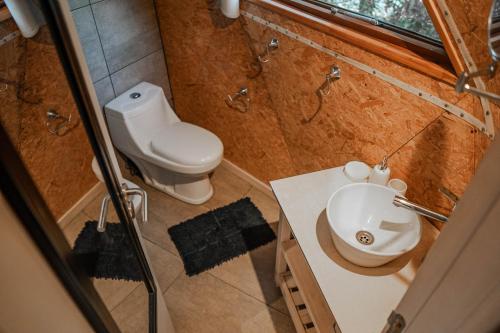 a bathroom with a toilet and a sink at Domo 2 - Domos Aiken Chapa Glamping en Zona Cruz del Sur Chapadmalal para 2 PAX - Hola Sur in Mar del Plata