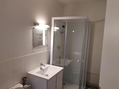 une salle de bain avec un lavabo et une douche dans l'établissement Venez chez vous à Pessac, à Pessac