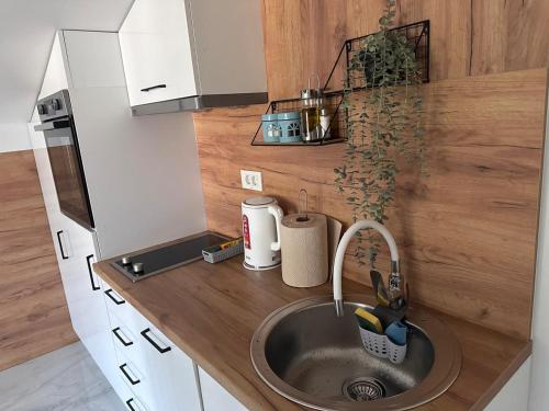 Kuchyň nebo kuchyňský kout v ubytování Apartman Sofija Kotor-Ljesevici