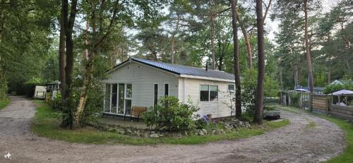 a white cabin in the middle of a forest at Luxe 5 pers chalet natuurlijk gelegen in IJhorst