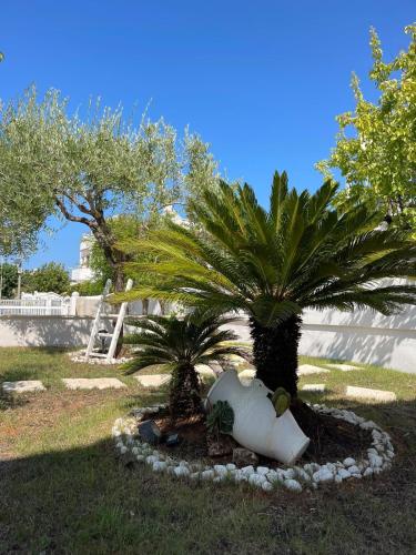 a couple of palm trees in a yard at Villa Incanto Pina - Torre Canne in Torre Canne