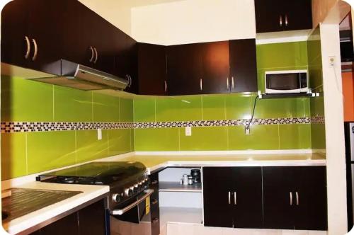 a kitchen with green walls and black cabinets at La casa del mochilero in Mexico City