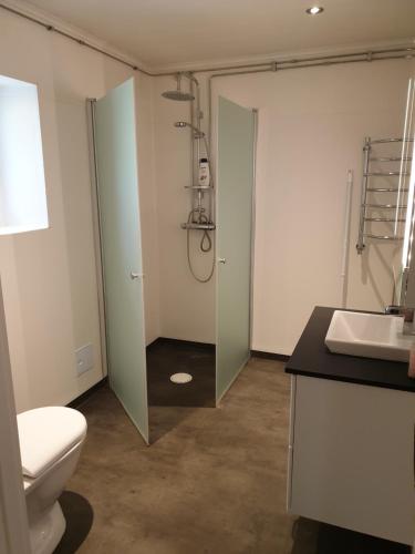 a bathroom with a shower and a toilet and a sink at Lägenhet Bolum 7 in Broddetorp