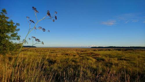 Maison en résidence