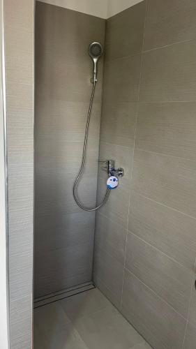 a shower with a shower head in a bathroom at Ferienwohnung Licina in Lauenburg