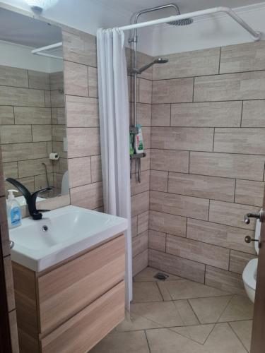 a bathroom with a sink and a shower at Red Rose Tiburtina in Rome