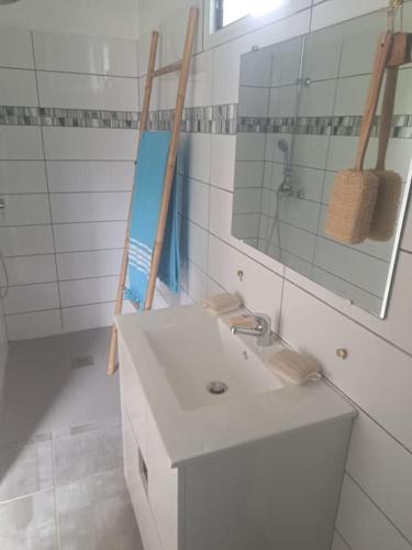 a bathroom with a sink and a mirror at Bungalow Hibiscus Monique &Frédé in Le François