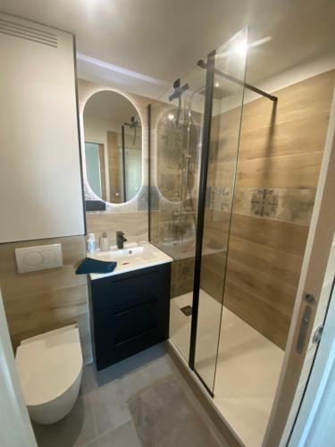 une salle de bain avec une douche, des toilettes et un lavabo dans l'établissement T2 entièrement rénové à 550m de la plage de La Faviere à Bormes-les-Mimosas, à Bormes-les-Mimosas