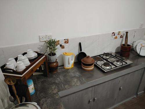 a kitchen counter top with a stove top oven at Liv House in Kandy